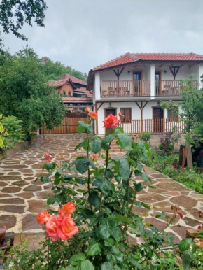 Golemi kamik apartmani Pirot Vlasi